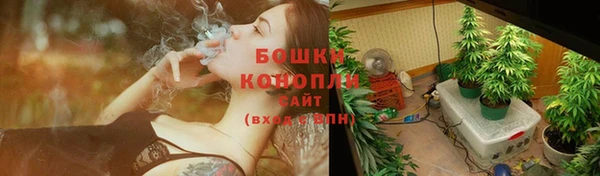 гашик Володарск