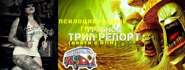 амф Волосово