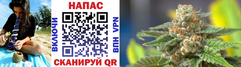 Каннабис план  Купить где  Пионерский 